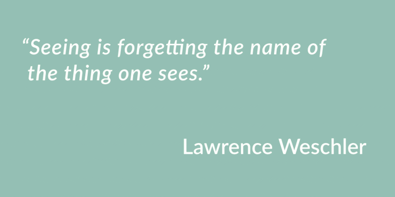 Quote by Lawrence Weschler on The Conquering Zero